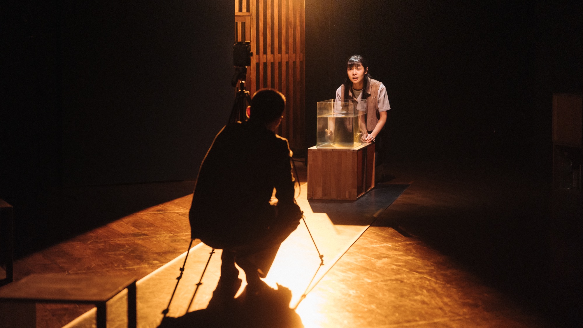 Stage Lighting Technology and Material